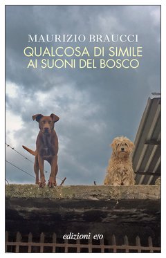 Cover: Qualcosa di simile ai suoni del bosco - Maurizio Braucci