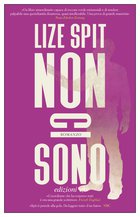 Cover: Non ci sono - Lize Spit