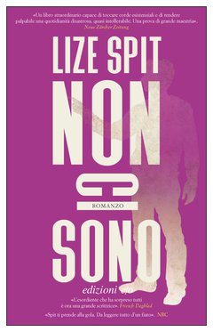 Cover: Non ci sono - Lize Spit